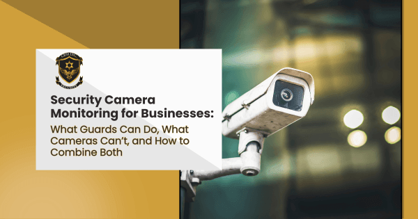 Security camera monitoring for businesses